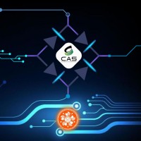 IEEE CAS BNMIT Student Branch logo - Similar company to Bloom Bnmit