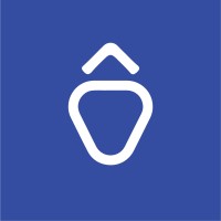 StrawberryNG — Software Engineering & Creative Agency logo - Similar company to Strawberry Technologies