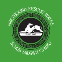 Greyhound Rescue Wales logo - Similar company to Greyhound Rescue