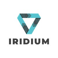 Iridium/UFCG logo - Similar company to Programa De Pós-Graduação Em Engenharia Industrial (Pei) - Ufba
