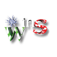 WINS SRL logo - Similar company to Erpselection.It