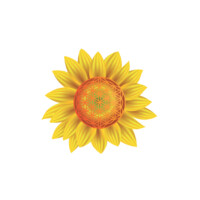 Prescribing Life, LLC logo - Similar company to Indict Bvba