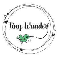 Tiny Wander logo - Similar company to Silicon Devtech