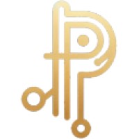 Profit Processes logo - Similar company to Strategy Simple