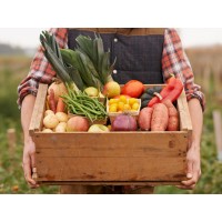 Nutritional Edge logo - Similar company to Single Variety Co