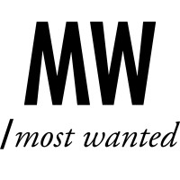 Most Wanted USA, Inc. logo - Similar company to B-Hitech