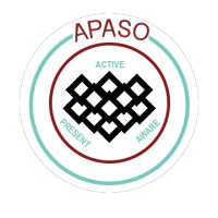 Asian Pacific American Student Organization logo - Similar company to Msumun (Michigan State University Model United Nations)