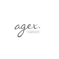 Cabinet Agex logo - Similar company to Agex