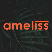 AMELISS logo - Similar company to Amelis