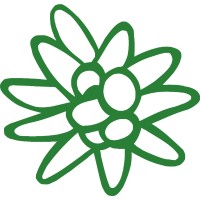 LITOPAT SRL logo - Similar company to Mediagraf S.P.A.