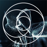 Conscious Health Summit logo - Similar company to Functionaldx