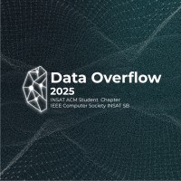 Data Overflow logo - Similar company to Data Overflow