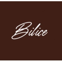 Bilice logo - Similar company to Sabrinas Haus