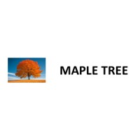 Maple Tree Tax and Accounting Services Limited logo - Similar company to Solco - Solution Consultants Ict Ltd