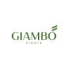 Giambo' Piante di Vito Giambo' logo - Similar company to Joyflo