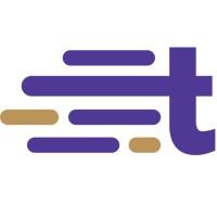 Tinyeleti Consulting logo - Similar company to Savantech