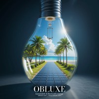 OBLUXE Company Ltd logo - Similar company to Les Coflocs