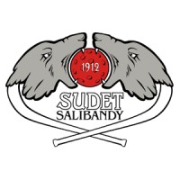 Sudet Salibandy | Sudet Floorball logo - Similar company to Floorball Arca