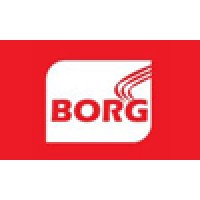 Borg Solar India
