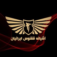 phoenix air logo - Similar company to Aves Robotics