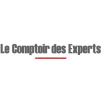 Le Comptoir des Experts logo - Similar company to Infodesca