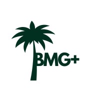Briseno Media Group logo - Similar company to Liinq