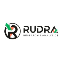 Rudra Research and Analytics logo - Similar company to Code Elections