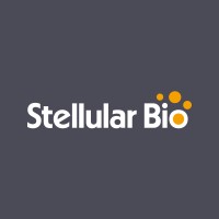 Stellular Bio logo - Similar company to Strm.Bio