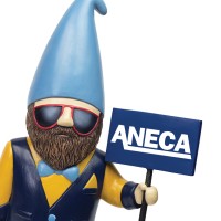 ANECA Federal Credit Union logo - Similar company to Flypika