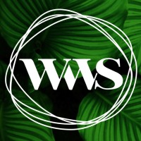 World Wide Shine logo - Similar company to Aw Executive I  Exclusive Search & Consultancy
