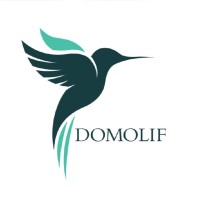 DomoLif logo - Similar company to Biosigmasapi