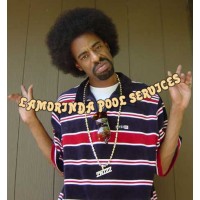 Lamorinda Pool Services logo - Similar company to Darby Pr