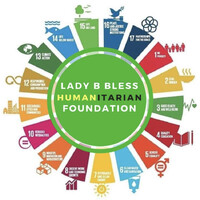 The Lady B Bless Humanitarian Foundation, Inc logo - Similar company to Bright Light Projects (Blp)