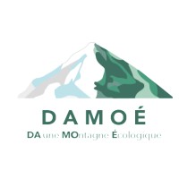 Damoé logo - Similar company to Waruju