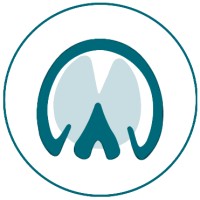 Artax Desing logo - Similar company to Project Peony