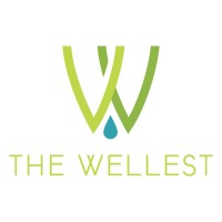 The Wellest logo - Similar company to Khidmat-E-Khalq Foundation