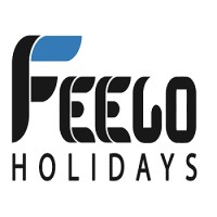 Feego Holidays logo - Similar company to Stockinfinity