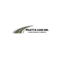 PELETTA LUIGI SRL logo - Similar company to Tls Srl