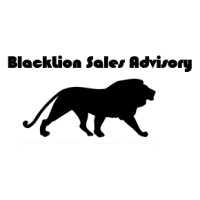 BlackLion Advisory logo - Similar company to Edgeliot