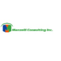 Manzelli Consulting Inc logo - Similar company to Financial Synergy, Llc