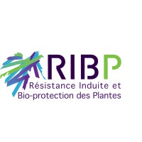 RIBP USC INRAE 1488 logo - Similar company to Unité De Recherche Biospect