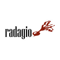 Radagio FZ-LLC logo - Similar company to Jupiter Jet Consulting
