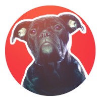 Bulldog Productions logo - Similar company to Psl Global