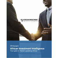 African Investment Intelligence logo - Similar company to Afrobold Enterprise