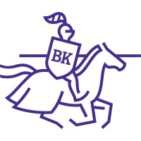 Brave Knight Corporate Support logo - Similar company to Dava Energy Solutions