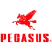 Pegasus Sewing Machine Singapore logo - Similar company to Juki