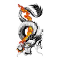 Silent Dragon Kung Fu and Tai Chi