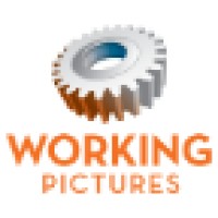 Working Pictures, Inc. logo - Similar company to Anavi Group