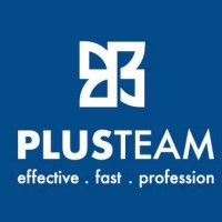 Plus Team Global logo - Similar company to Plusteam Global