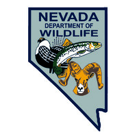 Nevada Department Of Wildlife